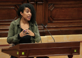 Basha Changue al ple del Parlament